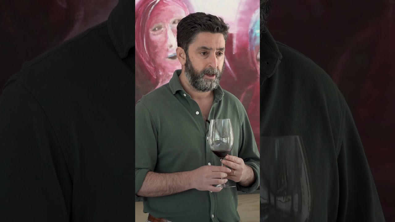 Alion, a conversation with Vega Sicilia’s technical director  Gonzalo Iturriaga