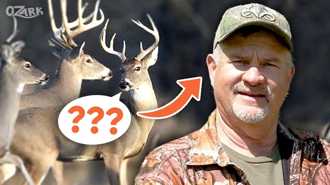 The INVENTOR of the Buck Grunt | Brad Harris | Ep. 22 | The Ozark Podcast #bigbuck