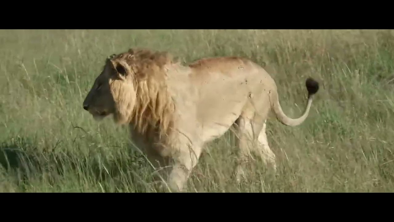 R5-Rongai Boys (3 of the Boys)