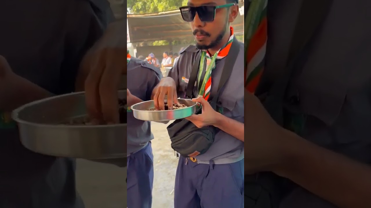 scout diaries 