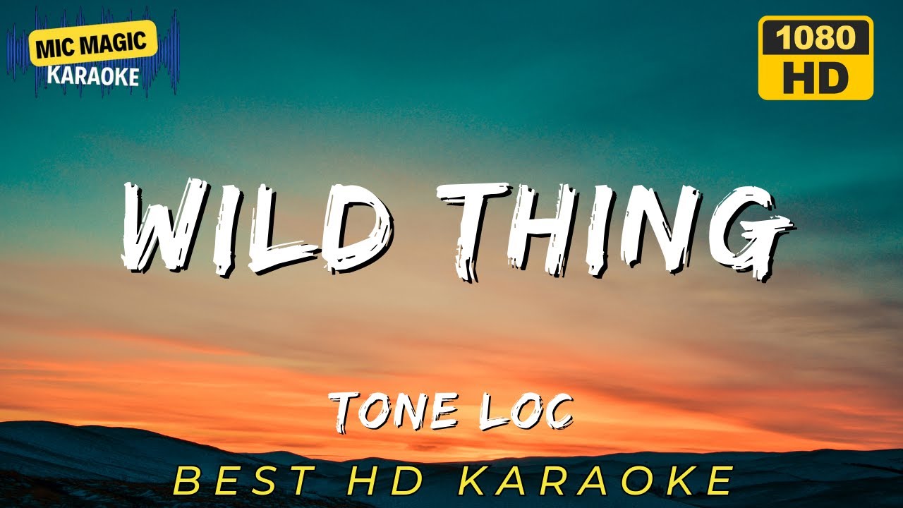 🎤✨WILD THING - TONE LOC 🎤✨ (HD KARAOKE VERSION)