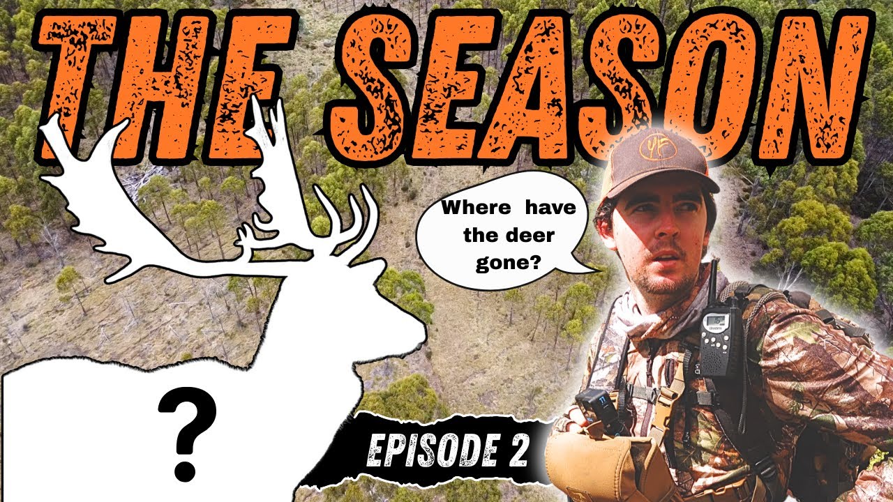 THE SEASON || Episode 2 || Where are all the deer?