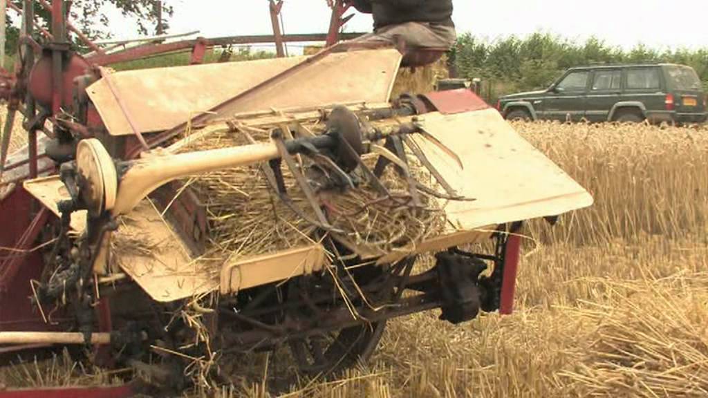 A Vintage Harvest  2011