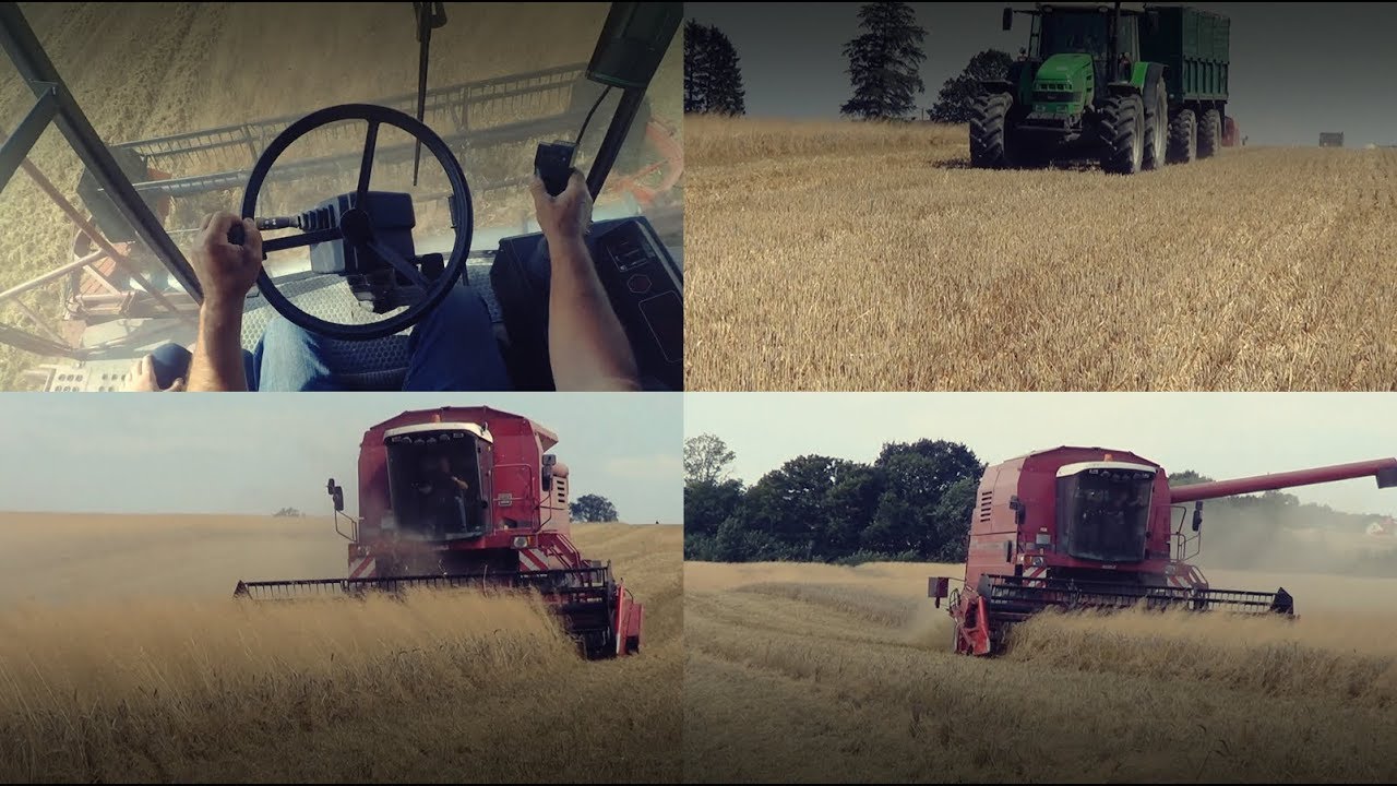 Żniwa 2k17 Case 527/Gr Stare Bielice