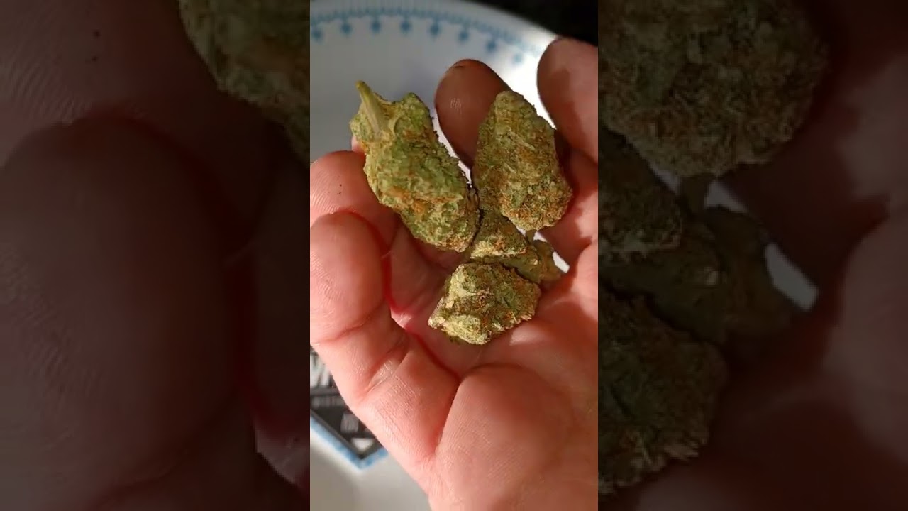 WNC CBD Grape Ape CBD/THCA hemp flower (is it good? )