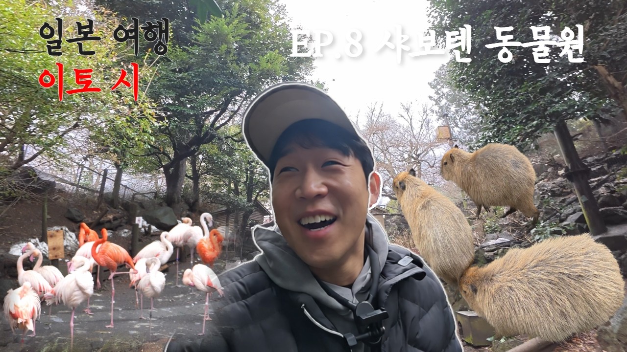 일본여행 7일차_시즈오카편_이토시의 샤보텐 동물원에 가다!