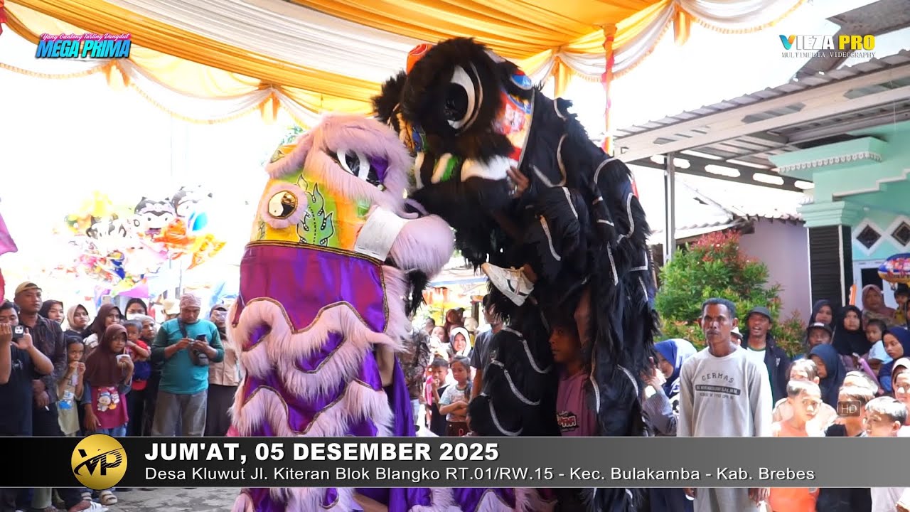 BARONGSAI (MASIH ADA LUKA) | BUROK MEGA PRIMA | SHOW KLUWUT BULAKAMBA 05/12/2025