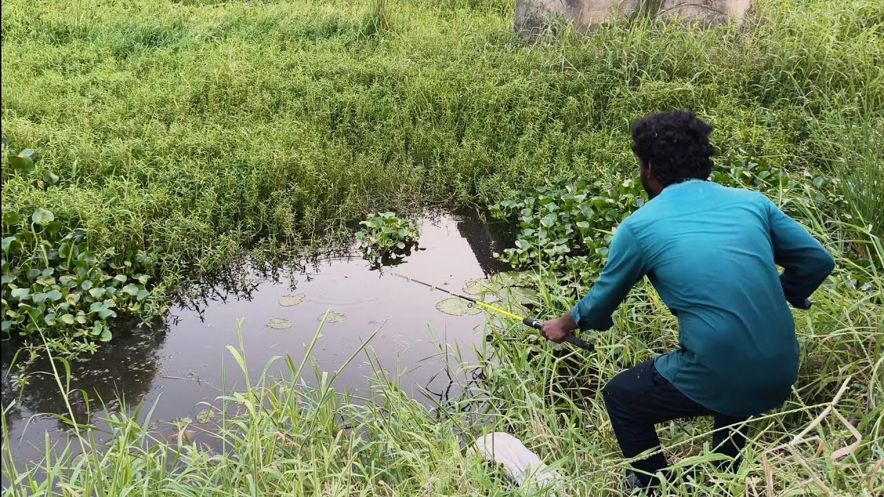 Bridge Canal Fishing | Different Types of Fish Caught 🎣