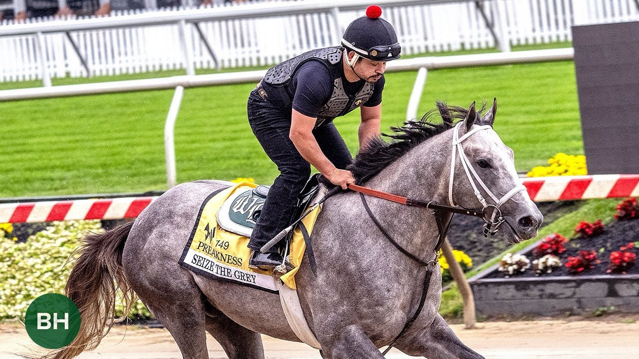 2024 Preakness Stakes Contenders Train Two Days Before the Race