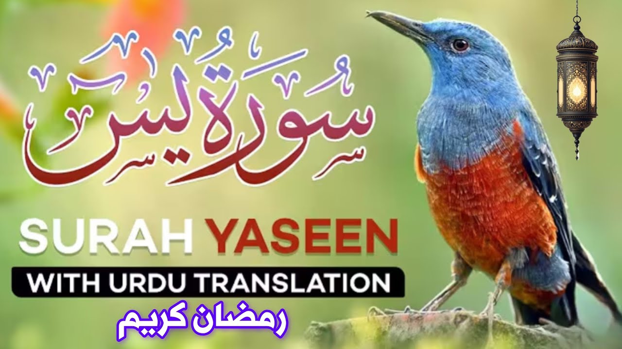 Surah Yasin (Yaseen) With Urdu Translation | Beautiful Voice Quran Tilawat | Hindi Tarjuma