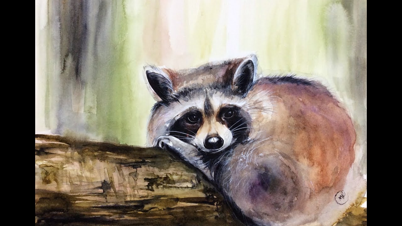 Watercolor Raccoon Painting Demonstration