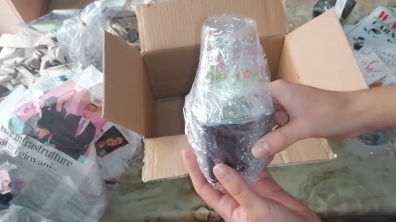 Unboxing pedido a Giardino Carnivoro