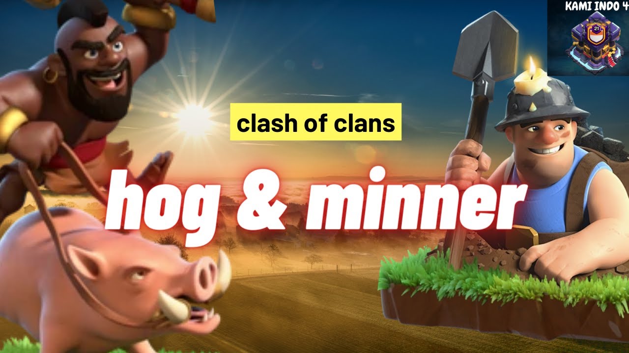 fokus minhog