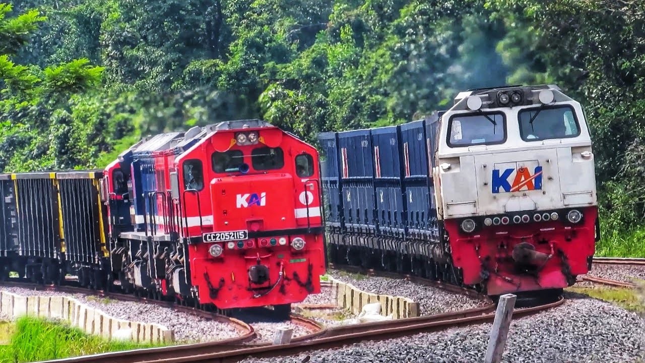 Baru Sadar Ada Biawak Nyebrang Rel ! Kereta Babaranjang Super Panjang Bisa Ngebut Jugga !