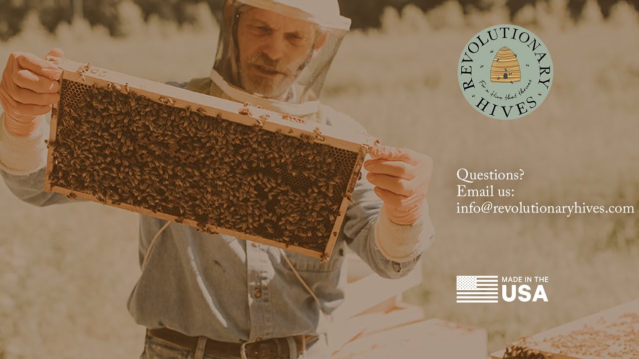 Revolutionary Hives Bee Buffet/Bee Raft Demonstration