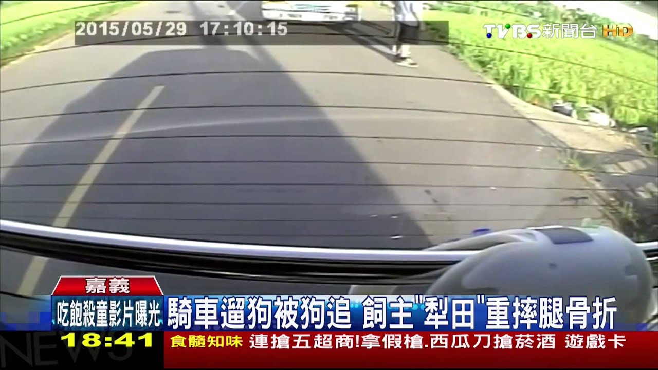 騎車遛狗被狗追　飼主「犁田」重摔腿骨折