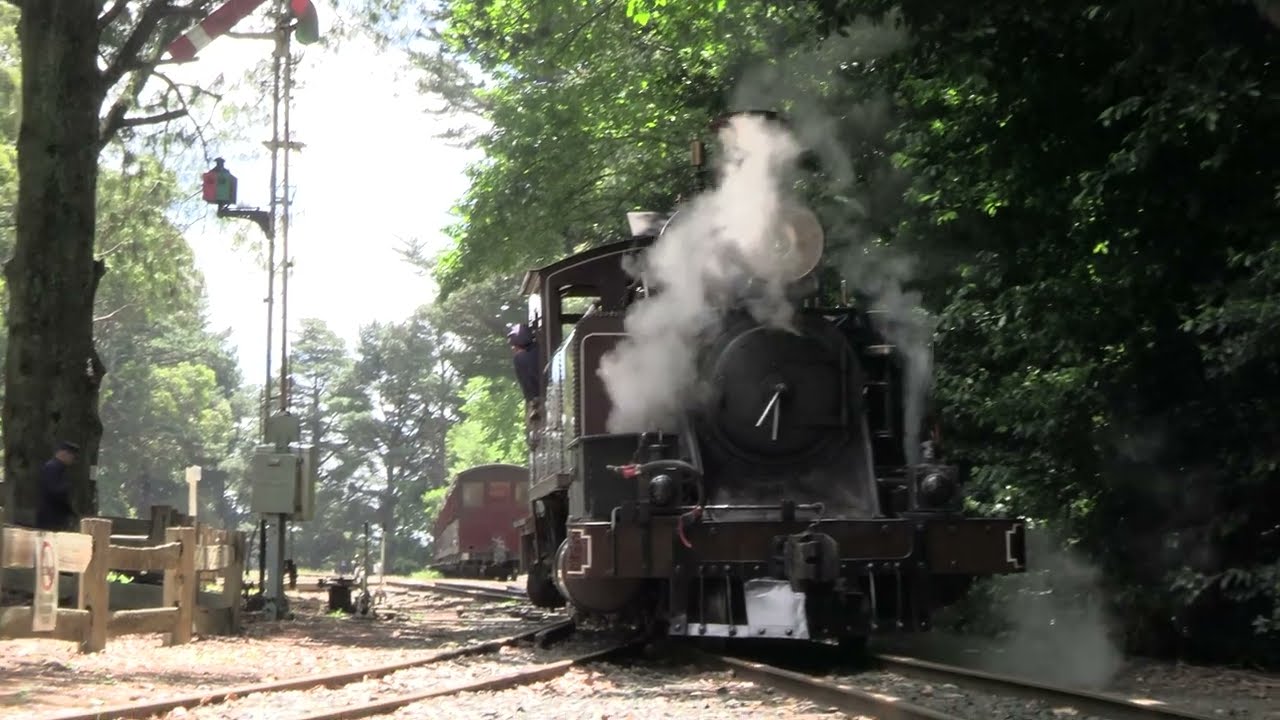 Puffing Billy - 12NOV23 - Side by Side with 14A into Gembrook