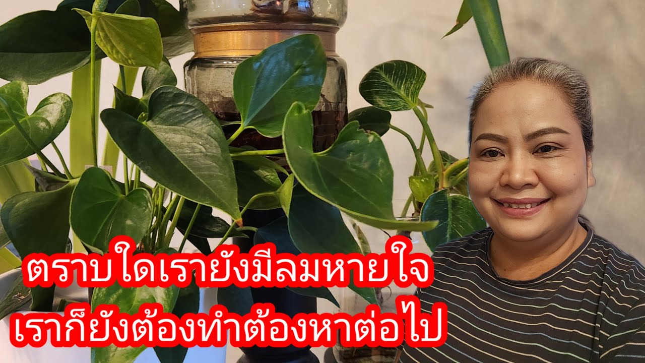 ตราบใดเรายังมีลมหายใจคนเรามันก็ต้องสู้ไปข้างหน้าต่อ