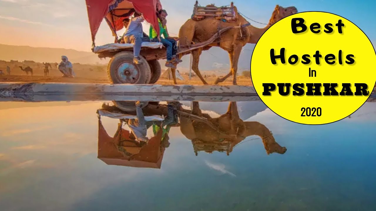 Hostels in Pushkar | Top Hostels in Pushkar 2020 | Pushkar  Hostels | Best Hostel in Pushkar