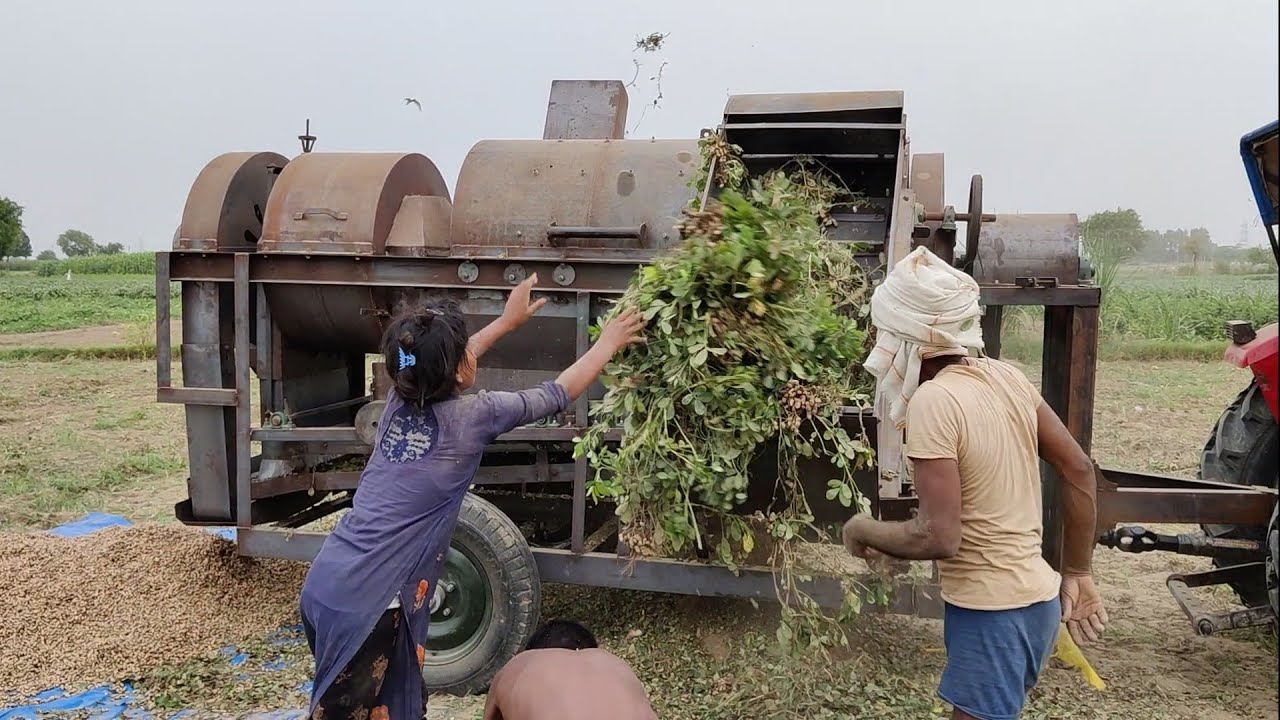 Peanut Multicrop with Conveyor 👉 New Model TESTING✊ गीली मूंगफली पर