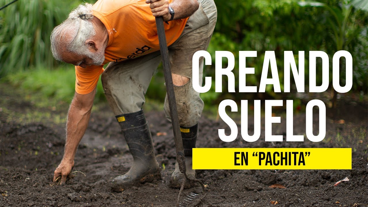 ¡CREANDO SUELO en 