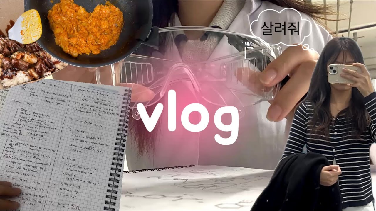 편입생 vlogㅣ시험기간인데 시험기간 아닌ㅣ아침형 인간ㅣ실험ㅣ아싸의 축제기간..🫠