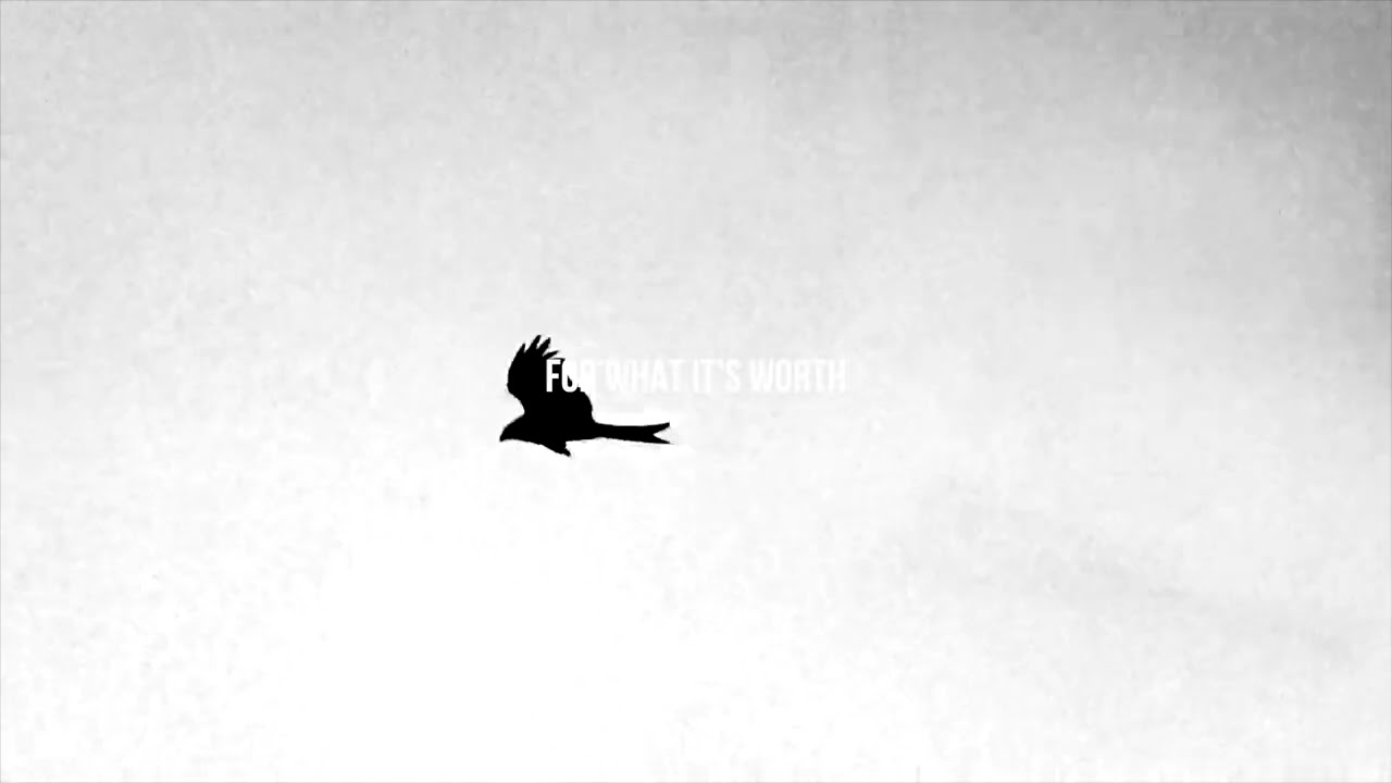 IN 2 WORLDS • OFFICIAL LYRIC VIDEO