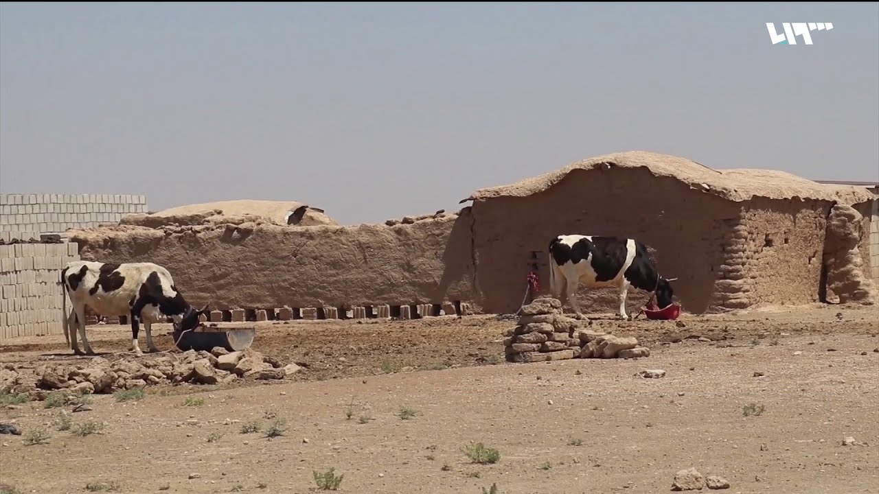 سكان قرى اليعربية بالحسكة يهجرون منازلهم بسبب تردي الأوضاع المعيشية