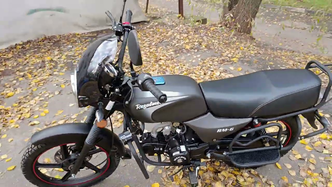 Мопед Regulmoto Alpha (RM-6) (Серый, , 300120-1), KUPISCOOTER.RU