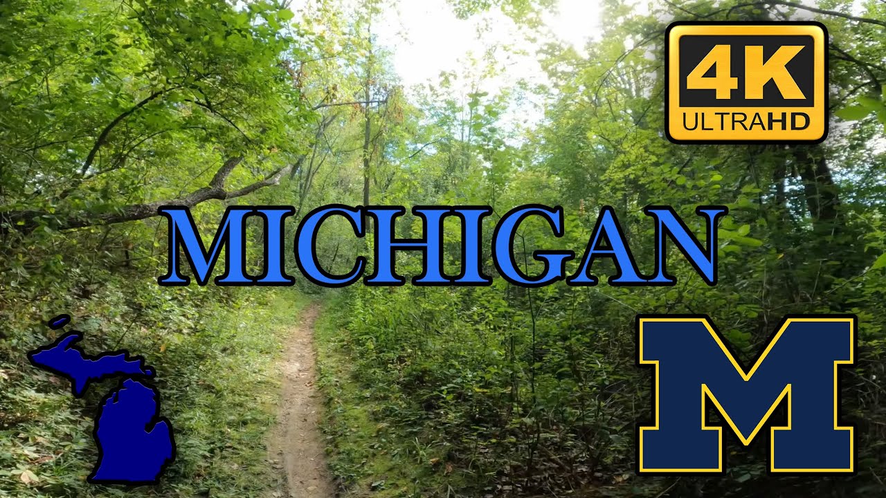 Michigan Morning Walk in Forest - Late Summer on a Relaxing Walk  |  4k 60fps Stabilized and Smooth!
