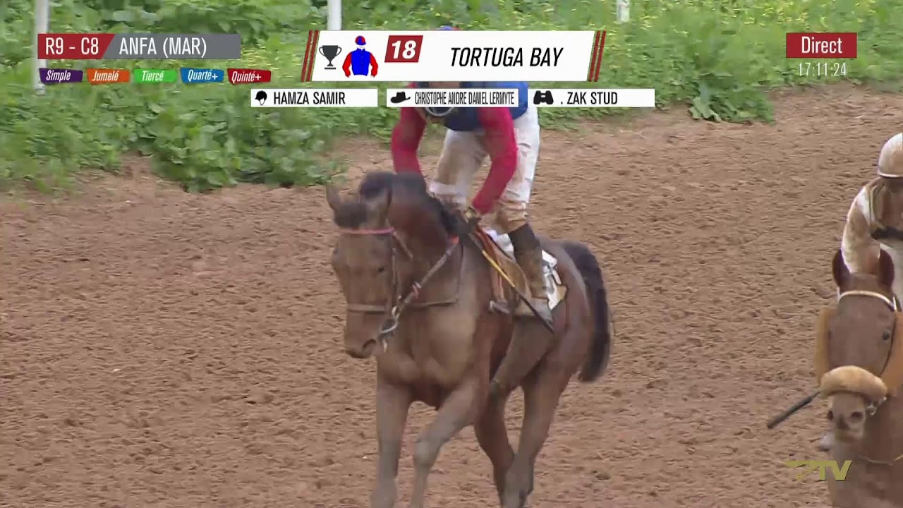 Live Hippodrome «CASABLANCA » Courses du « 30/01/2026 »