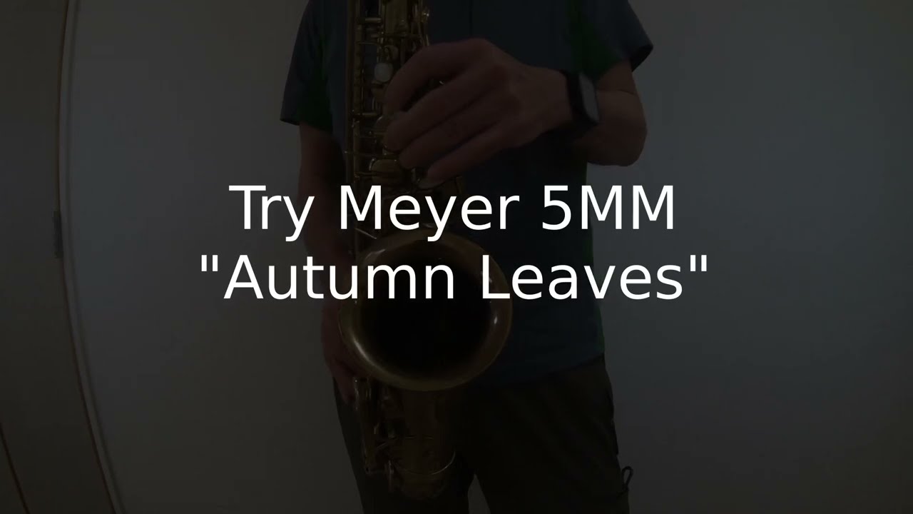 Meyer 5MMを試す