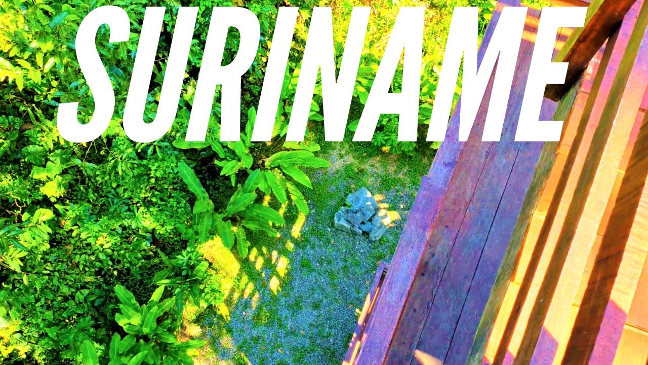 Paramaribo Jungle Tour Suriname