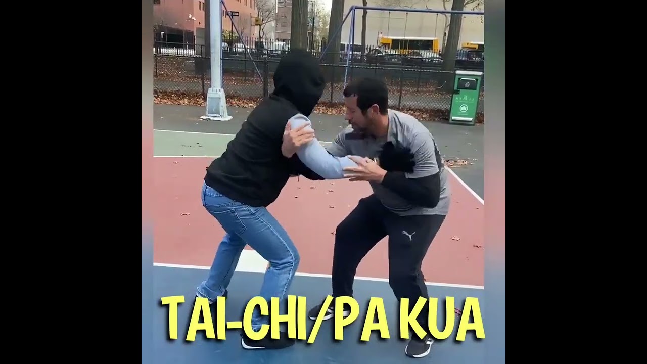 UNDERSTANDING PUSH HANDS FOR TAI-CHI/PA-KUA #taichi #pa-kua #baguaquan 