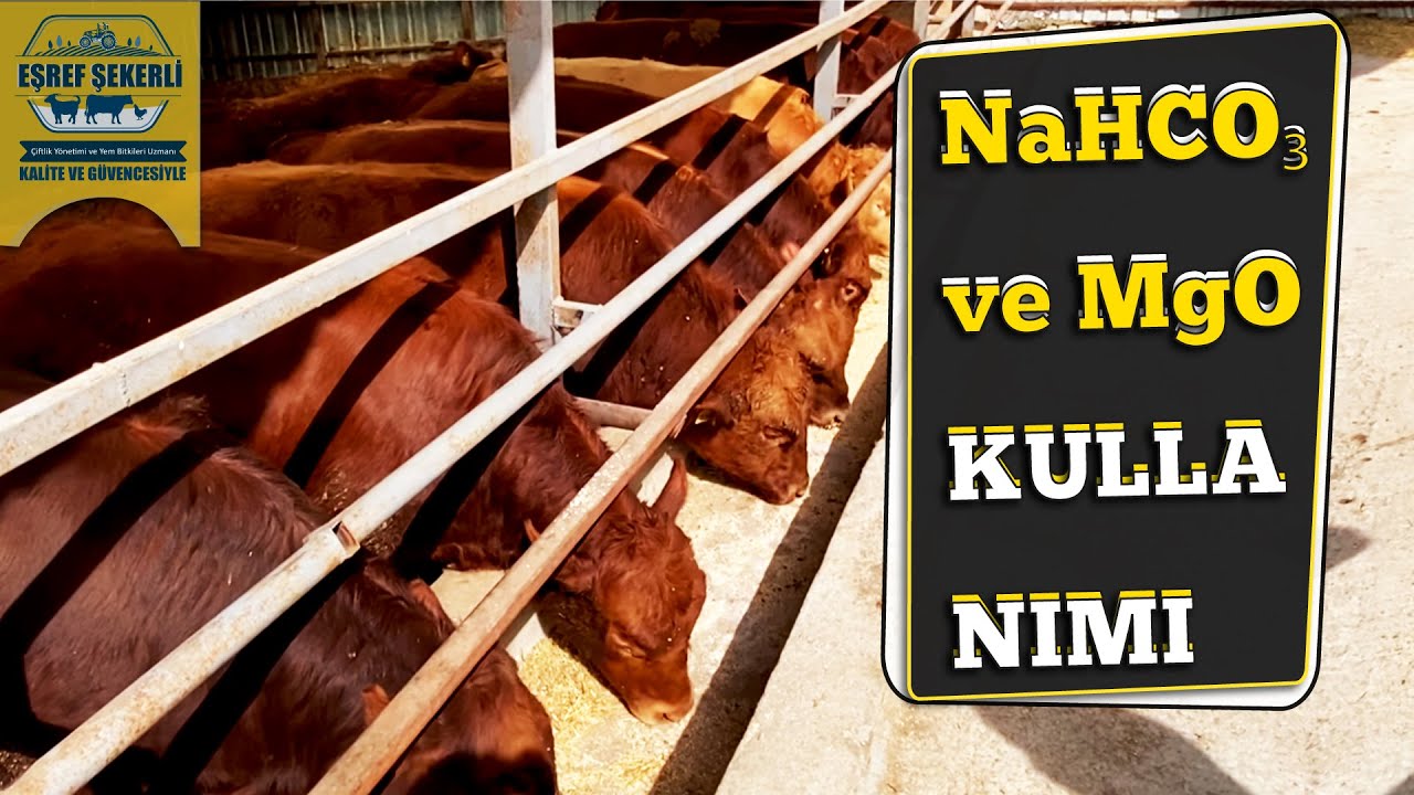 Sodyum Bikarbonat Ve Magnezyum Oksit Nasıl Kullanılır?