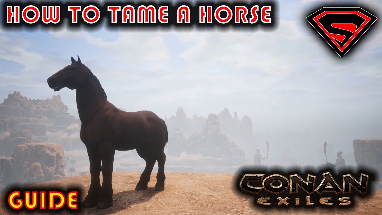 CONAN EXILES HOW TO TAME A HORSE - WHERE TO FIND FOALS & EVERYTHING YOU NEED TO KNOW