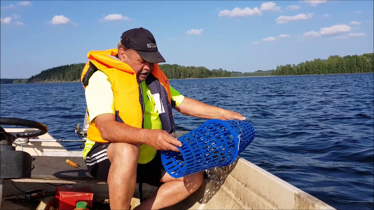 Rapumertoja Rautavedellä