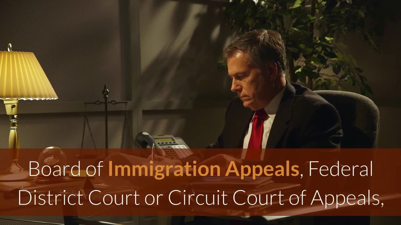Immigration Law Firm Brooklyn | (347) 696 2200 | Crown Heights Immigration Lawyer