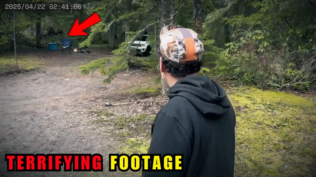 6 встреч в лесу, которые заставят вас БОЯТЬСЯ