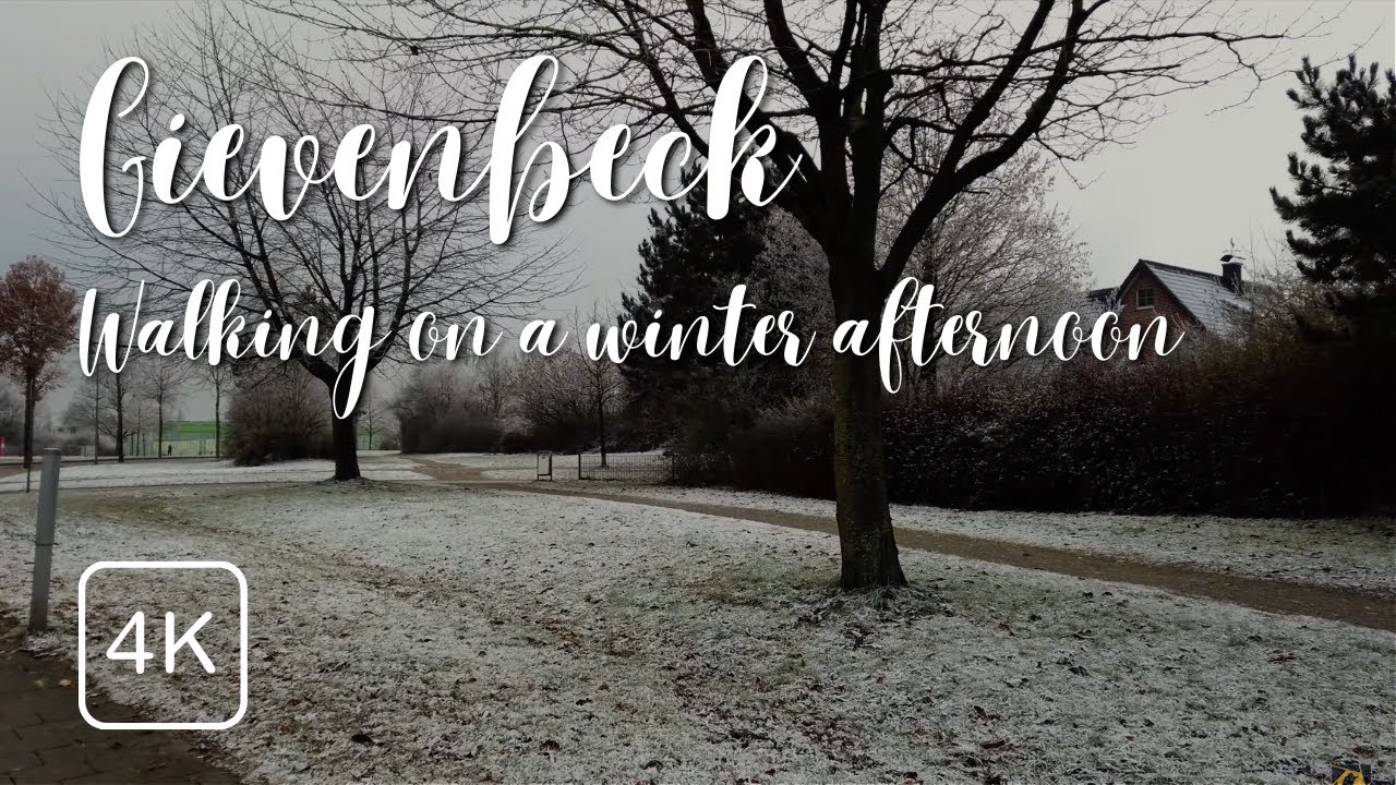 Walking around Gievenbeck on a Winter Afternoon [M&uuml;nster Diaries] - 4K Walking Tour