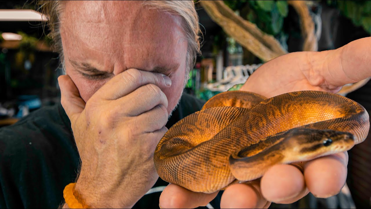 I CRIED WHEN I GOT THIS SNAKE!!! | BRIAN BARCZYK