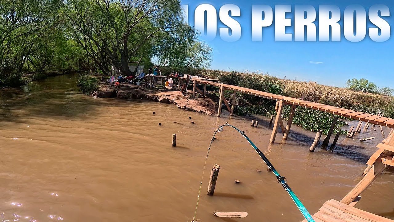 Dia de pesca en este Increible Pesquero, Arroyo lleno de Tarus, Muelle, Refugio y Excelente Pesca