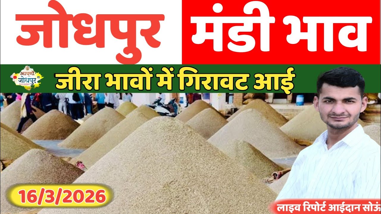 जोधपुर मंडी भाव। | Jodhpur Mandi Bhav | Jeera Bhav | Moong Bhav | Aaj Ka Mandi Bhav 17.03.2026 