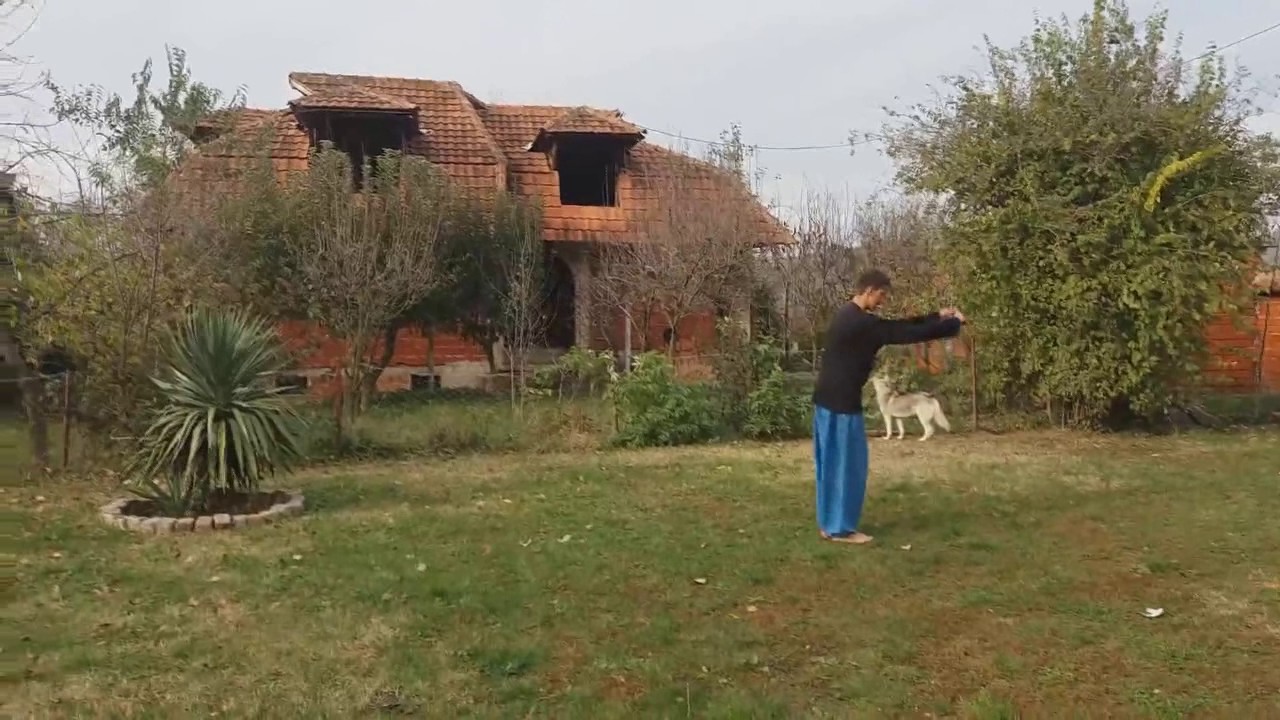 Marko Pavlovic 3Run