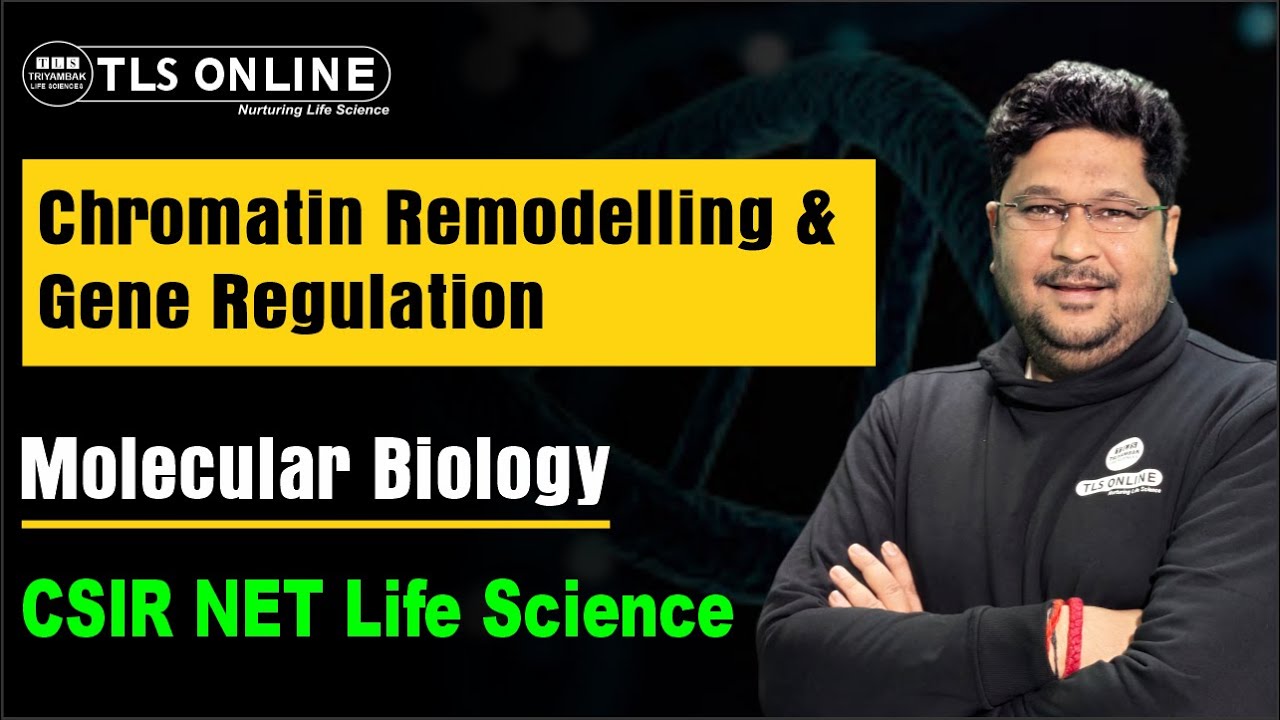 𝐂𝐡𝐫𝐨𝐦𝐚𝐭𝐢𝐧 𝐑𝐞𝐦𝐨𝐝𝐞𝐥𝐥𝐢𝐧𝐠 𝐚𝐧𝐝 𝐆𝐞𝐧𝐞 𝐑𝐞𝐠𝐮𝐥𝐚𝐭𝐢𝐨𝐧 | Molecular Biology | CSIR NET Life Sciences |