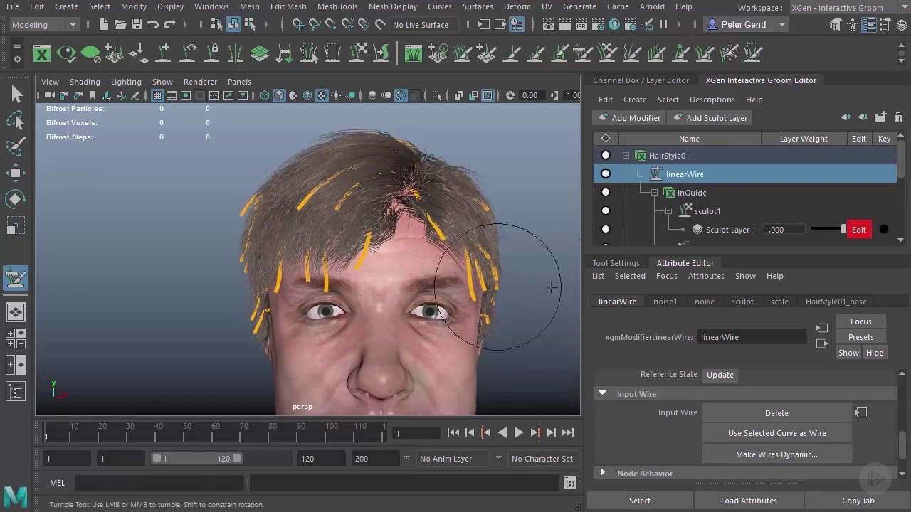 Animating XGen Hair in Maya