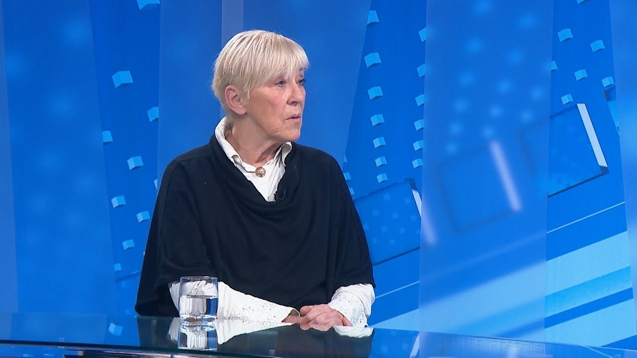 Sanja Sarnavka o izradi novog zakona o pobačaju