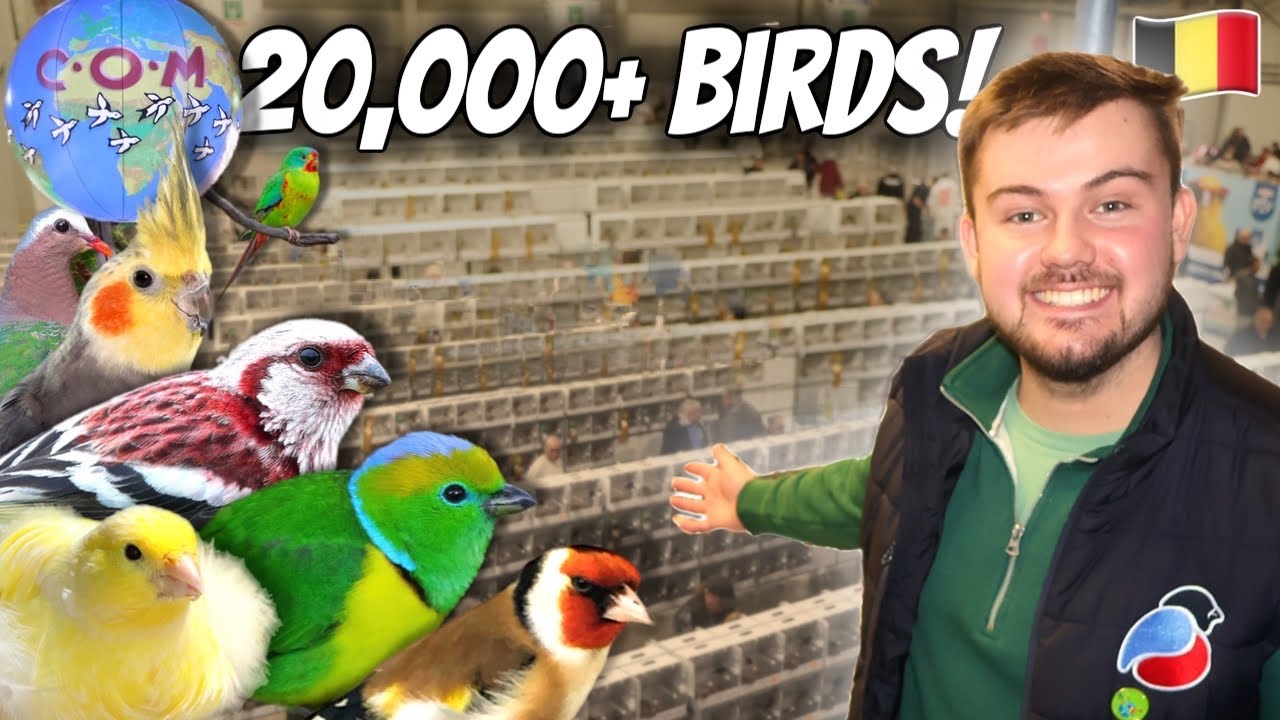 The World’s LARGEST Bird Show (20,000+ BIRDS!) COM Mondial 2026 