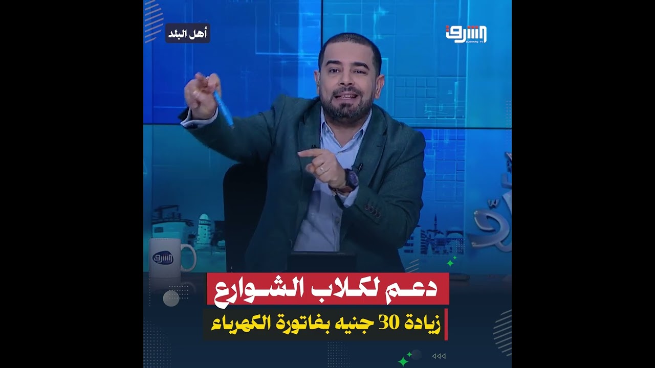 زيادة 30 جنيه على فاتورة الكهرباء لدعم الكلاب الضالة في الشوارع , اقتراح جديد في مجلس الشيوخ