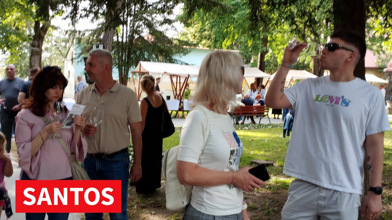 BANATSKI FESTIVAL VINA  - REKORDAN BROJ POSETILACA